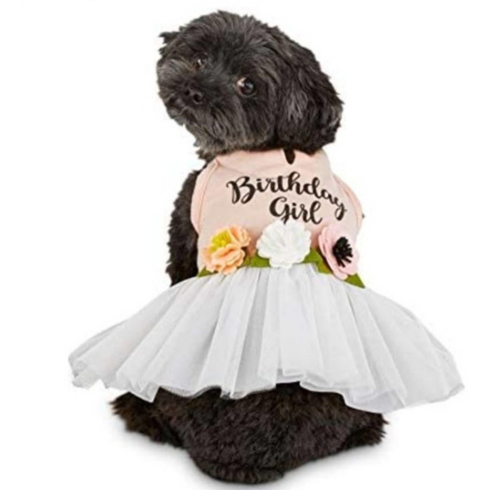 Xs New bond & co birthday girl tutu tulle dress flower floral DOG PUPPY
